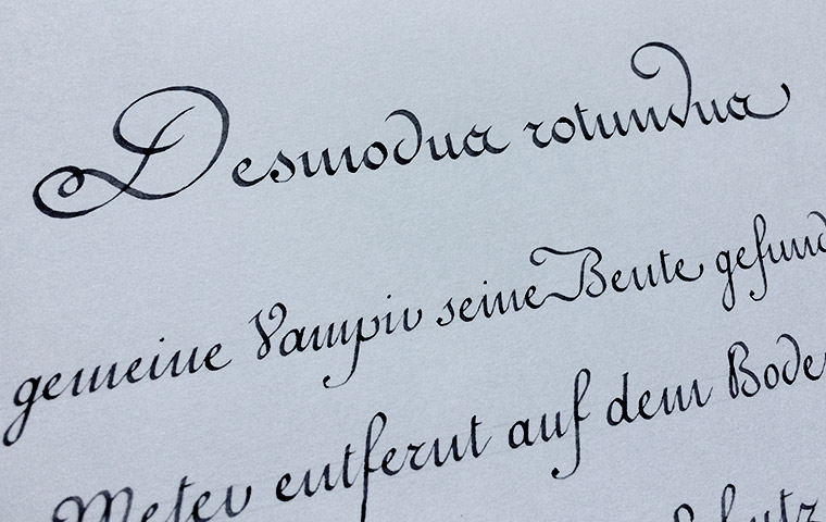 French writing detail 1